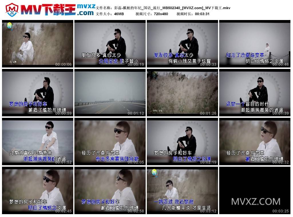 彭磊-尴尬的年纪_国语_流行_MB502340